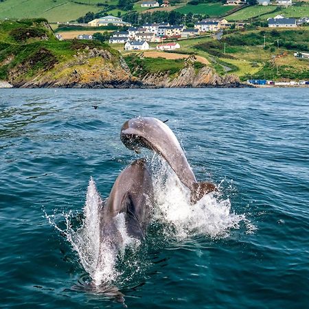 Realt Na Mara Villa Killybegs Buitenkant foto
