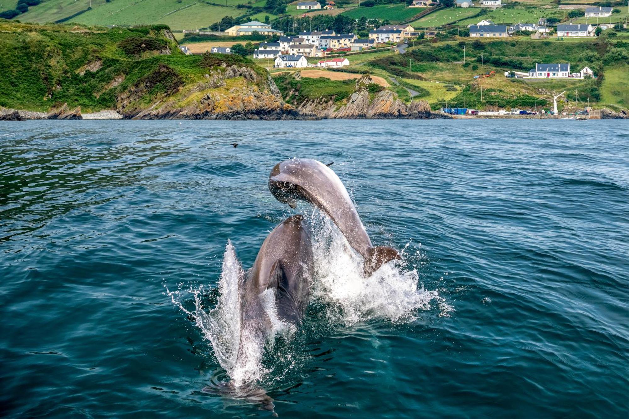 Realt Na Mara Villa Killybegs Buitenkant foto